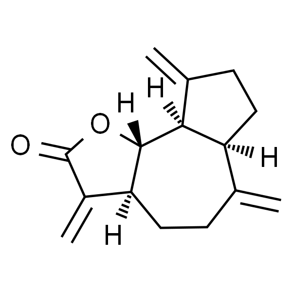 Dehydrocostus lactone