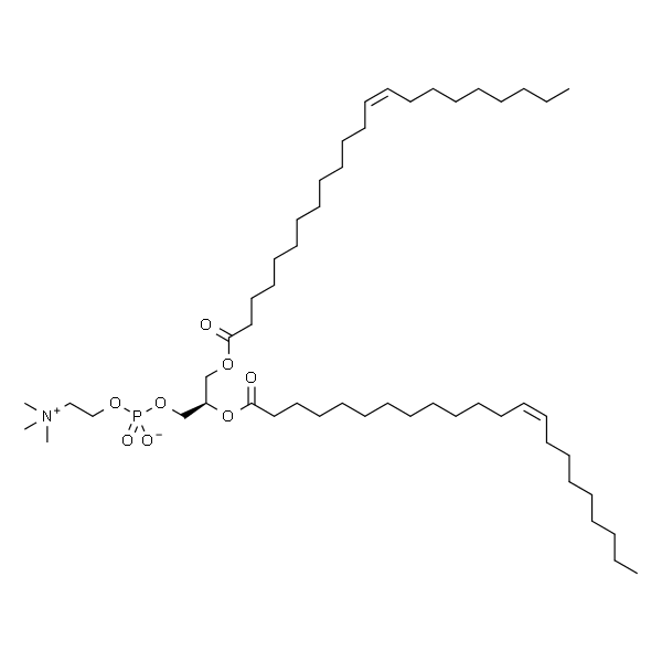 1,2-dierucoyl-sn-glycero-3-phosphocholine