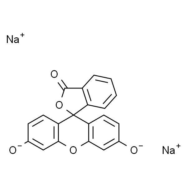 Fluorescein sodium salt