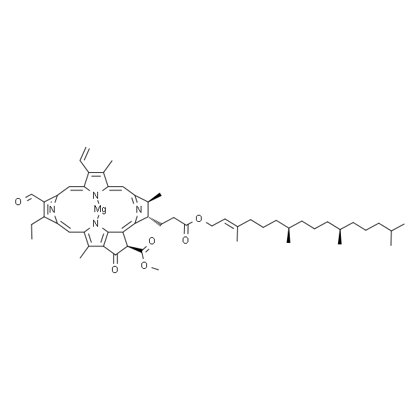 Chlorophyll b