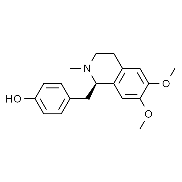 ARMEPAVINE