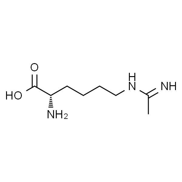 N-(5-AMINO-5-CARBOXYPENTYL)-ACETAMIDINE