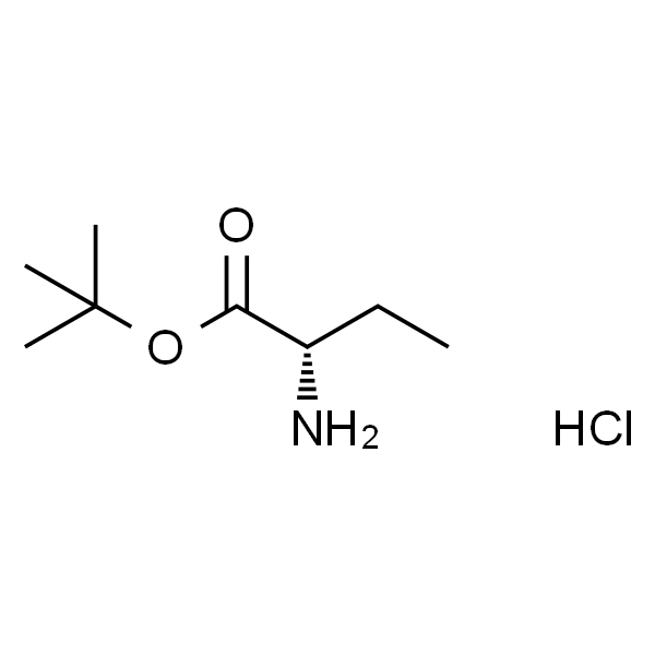 H-Abu-OtBu.HCl