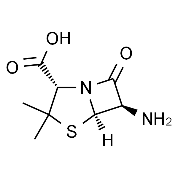 (+)-6-Aminopenicillanic acid