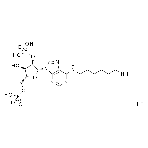 N6-(6-Aminohexyl)adenosine 2',5'-diphosphate lithium salt