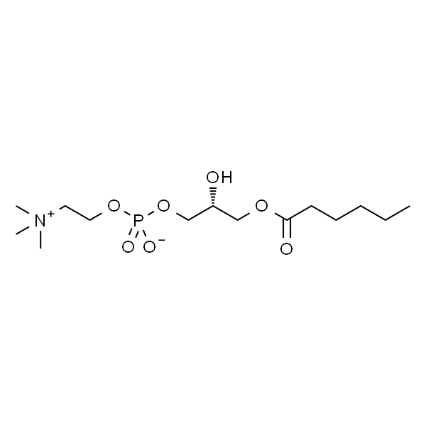 1-hexanoyl-2-hydroxy-sn-glycero-3-phosphocholine