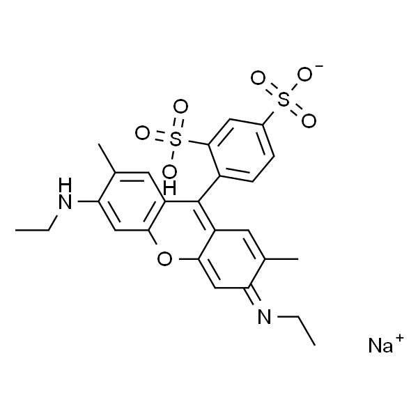 Sulforhodamine G Dye content 60 %