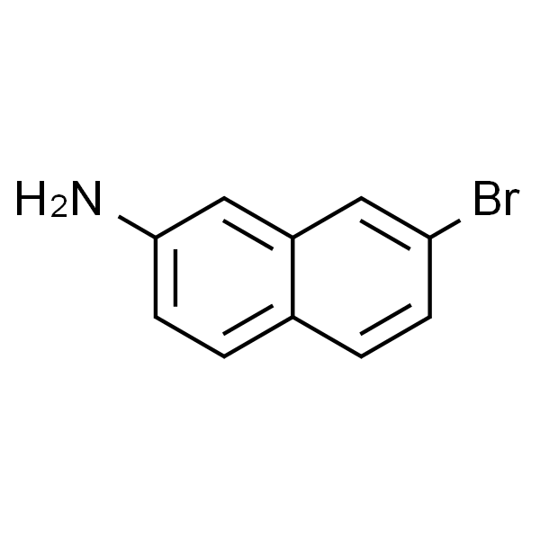 2-Naphthalenamine,7-bromo-(9CI)