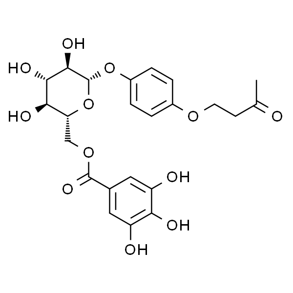 2-Butanone,4-[4-[[6-O-(3,4,5-trihydroxybenzoyl)-b-D-glucopyranosyl]oxy]phenyl]-