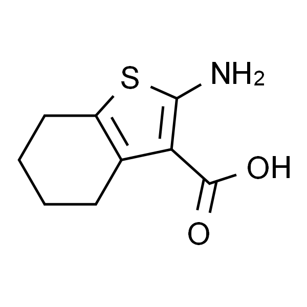 2-氨基四氢苯并噻吩-3-甲酸