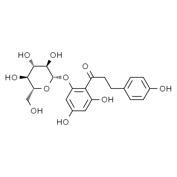 Phlorizin