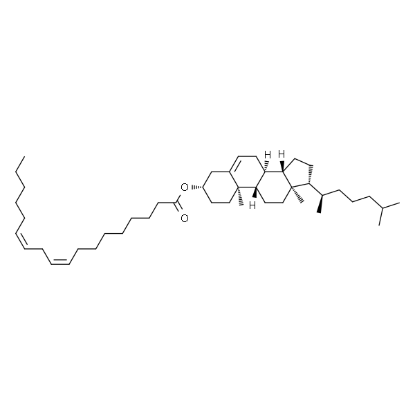 cholesteryl linoleate