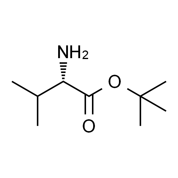 DL-Valine tert-butyl ester