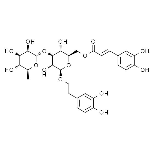 Isoacteoside