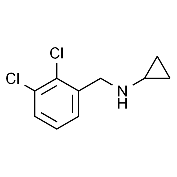 Cyclopropyl-(2,3-dichloro-benzyl)-aMine