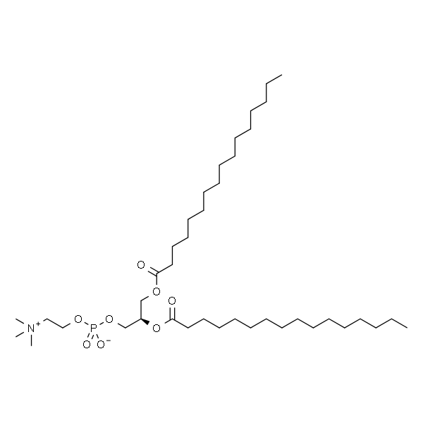 Dipalmitoyl Phosphatidylcholine