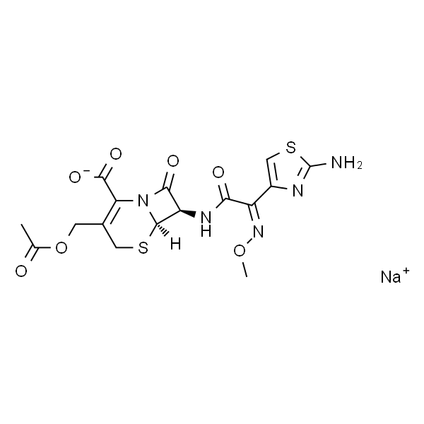 Cefotaxime sodium salt