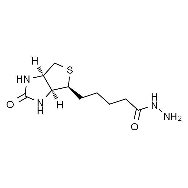 (+)-Biotin hydrazide