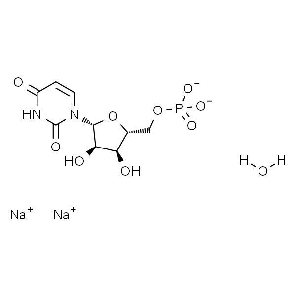 5'-Uridylic acid disodium salt xhydrate