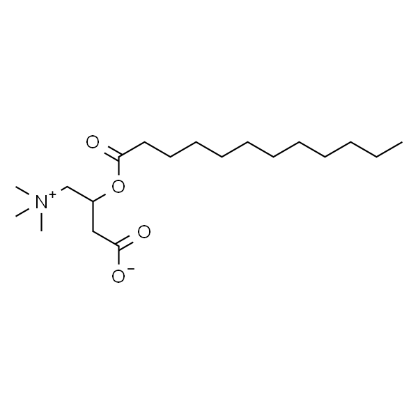 7023-03-2
