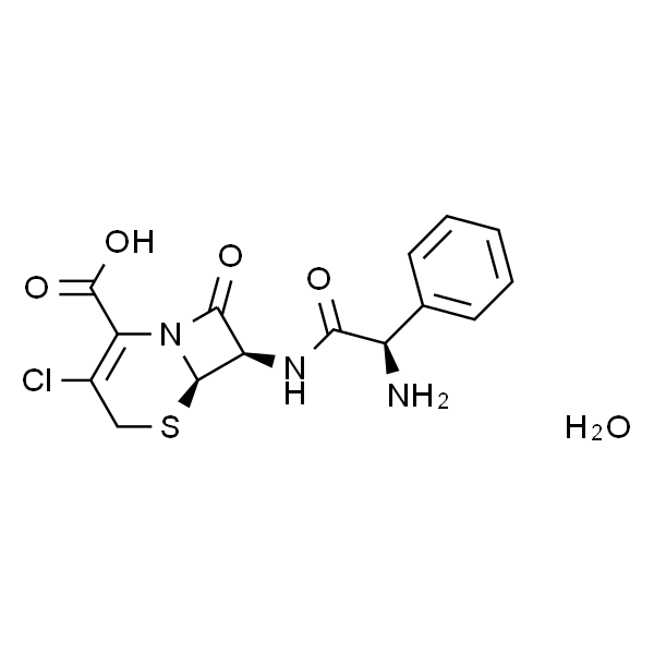 Cefaclor Monohydrate