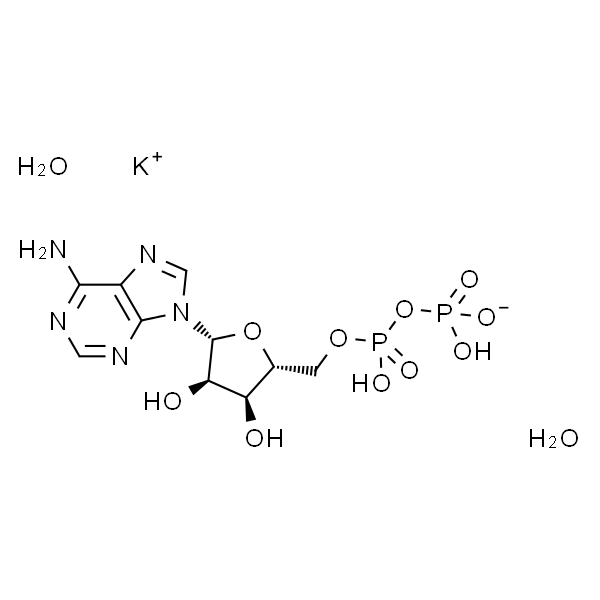 Adenosine 5′-diphosphate monopotassium salt dihydrate