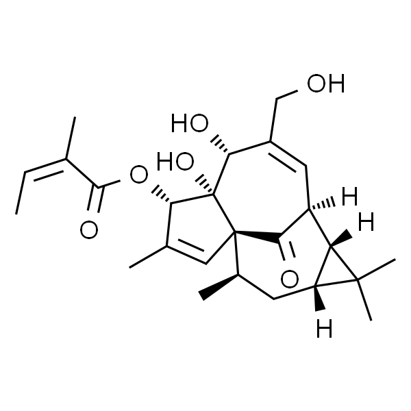 Ingenol Mebutate