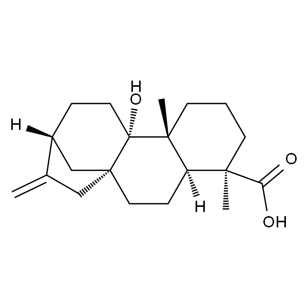 Pterokaurene L3