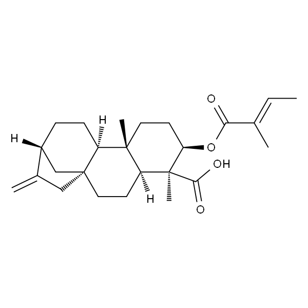 ent-3β-Tigloyloxykaur-16-en-19-oic acid