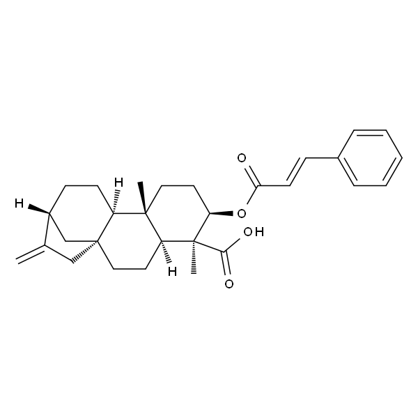 ent-3β-Cinnamoyloxykaur-16-en-19-oic acid