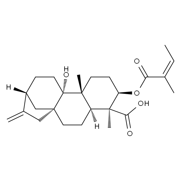 3α-Angeloyloxypterokaurene L3