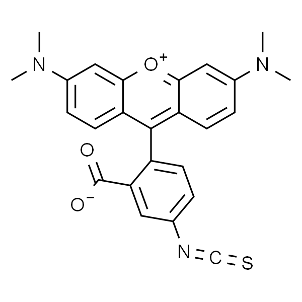 Tetramethylrhodamine-5-isothiocyanate