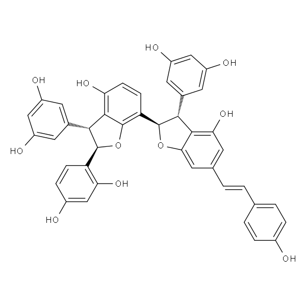 Gnetumontanin B