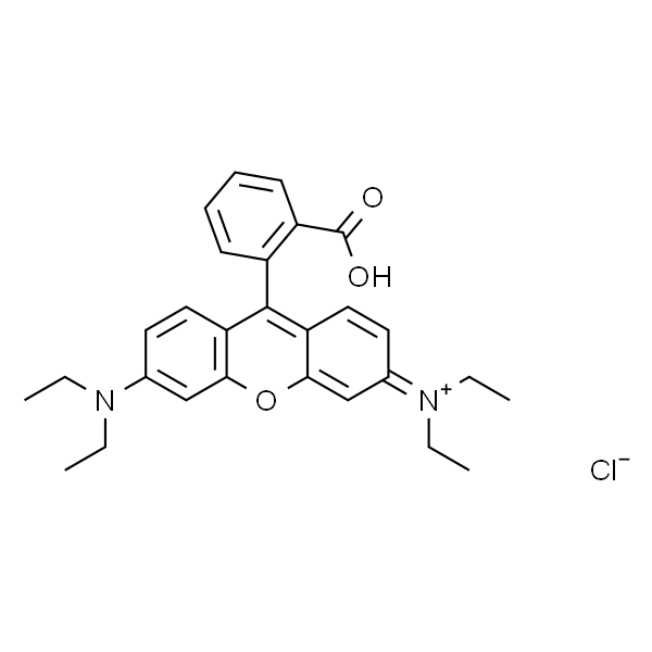 Rhodamine B