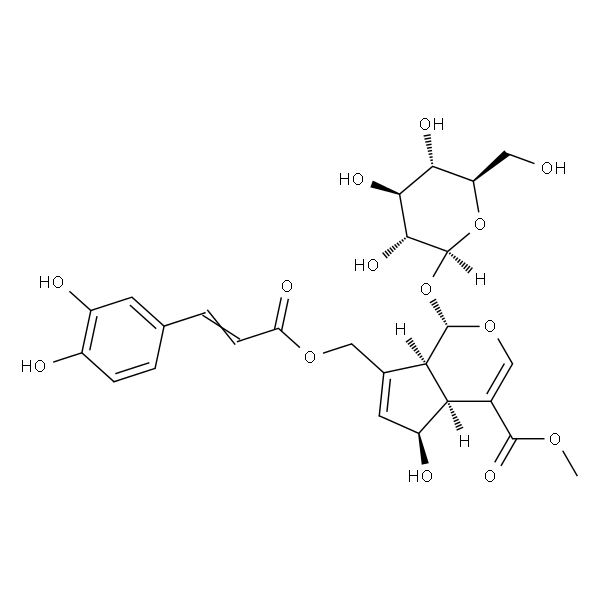 10-O-Caffeoyl-6-epiferetoside