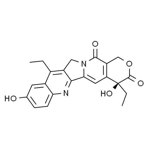 SN-38