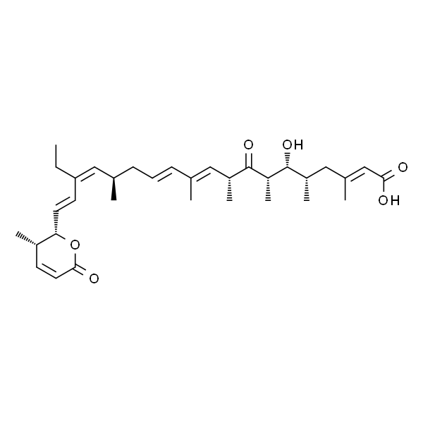 Leptomycin B