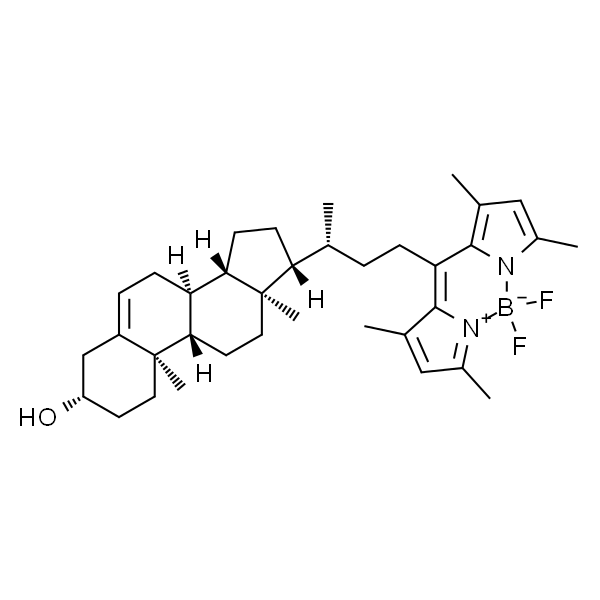 23-(dipyrrometheneboron difluoride)-24-norcholesterol