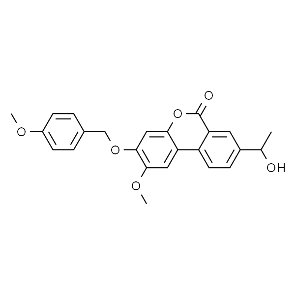 Palomid 529