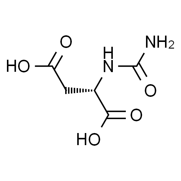 N-Carbamoyl-DL-aspartic Acid