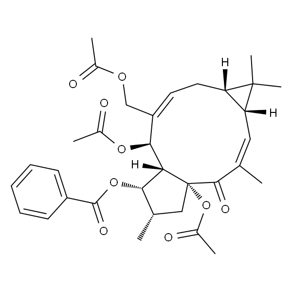 Euphorbia factor L7b