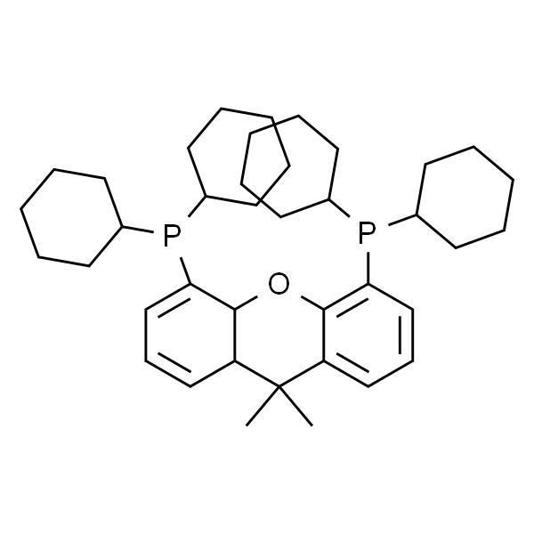 4，5-Bis(dicyclohexylphosphino)-9