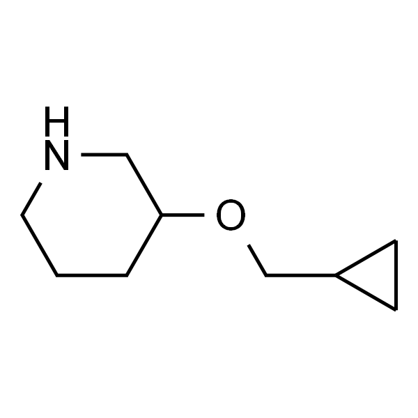 3-(CYCLOPROPYLMETHOXY)PIPERIDINE