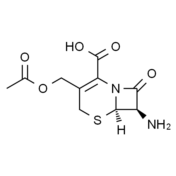 7-Aminocephalosporanic acid