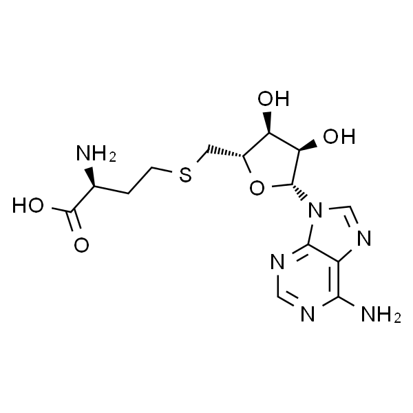 5'-DEOXY-S-ADENOSYL-L-HOMOCYSTEINE