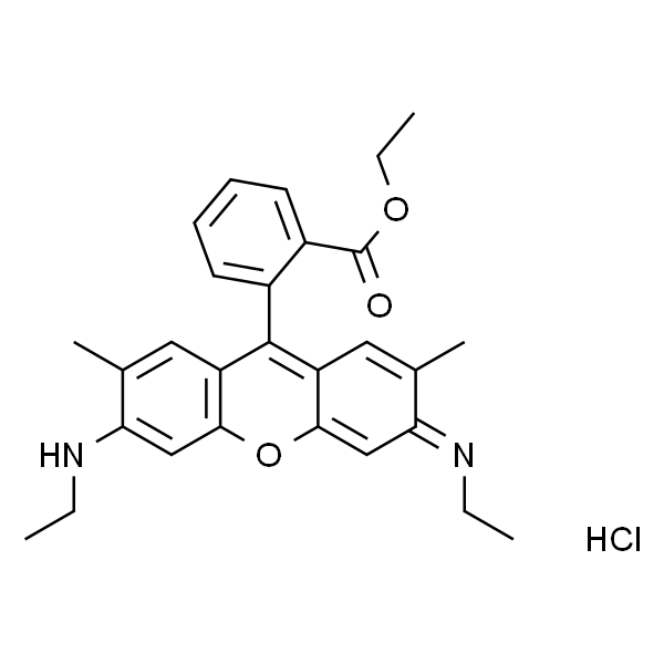 Rhodamine 6G