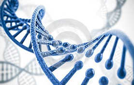 Nucleic acid nucleotides and derivatives