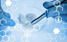 Proteins and their derivatives